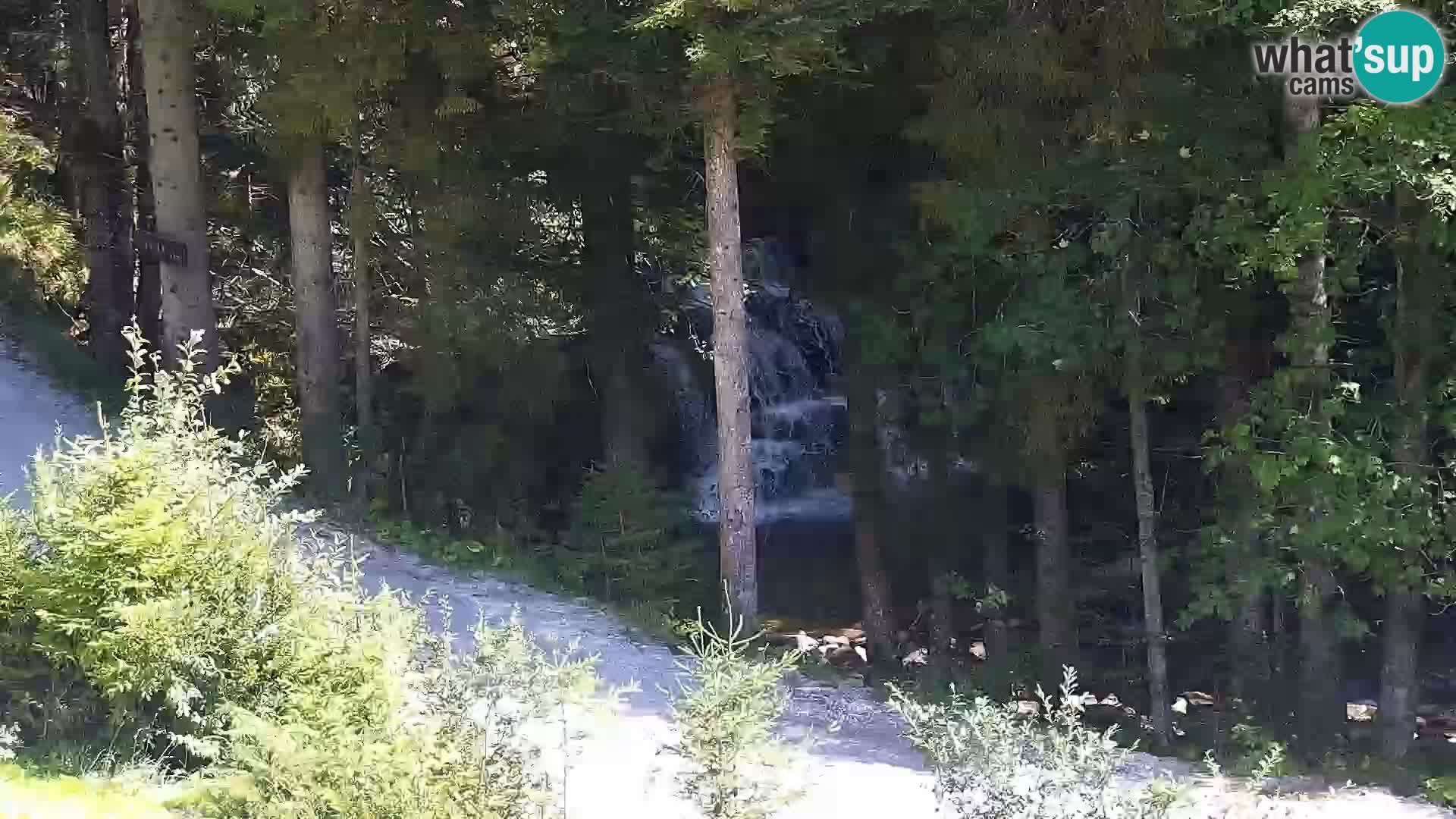 Live Rogla appartements Dandi – Jurgovo