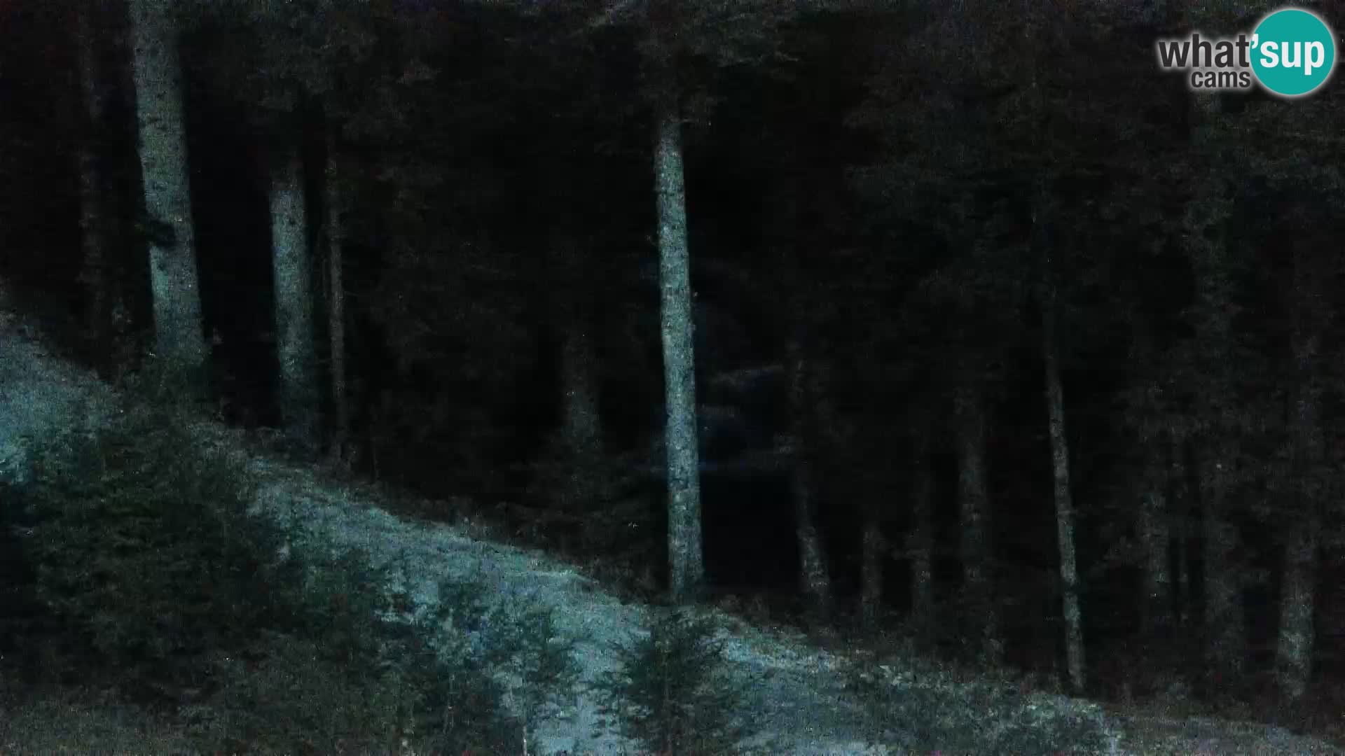 Live Rogla appartements Dandi – Jurgovo