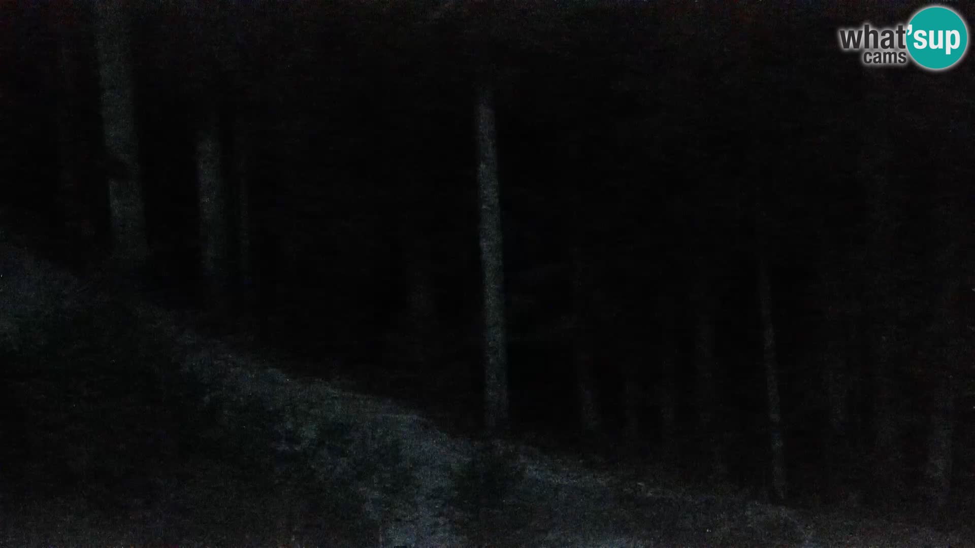 Camera en vivo Rogla appartamentos Dandi – Jurgovo