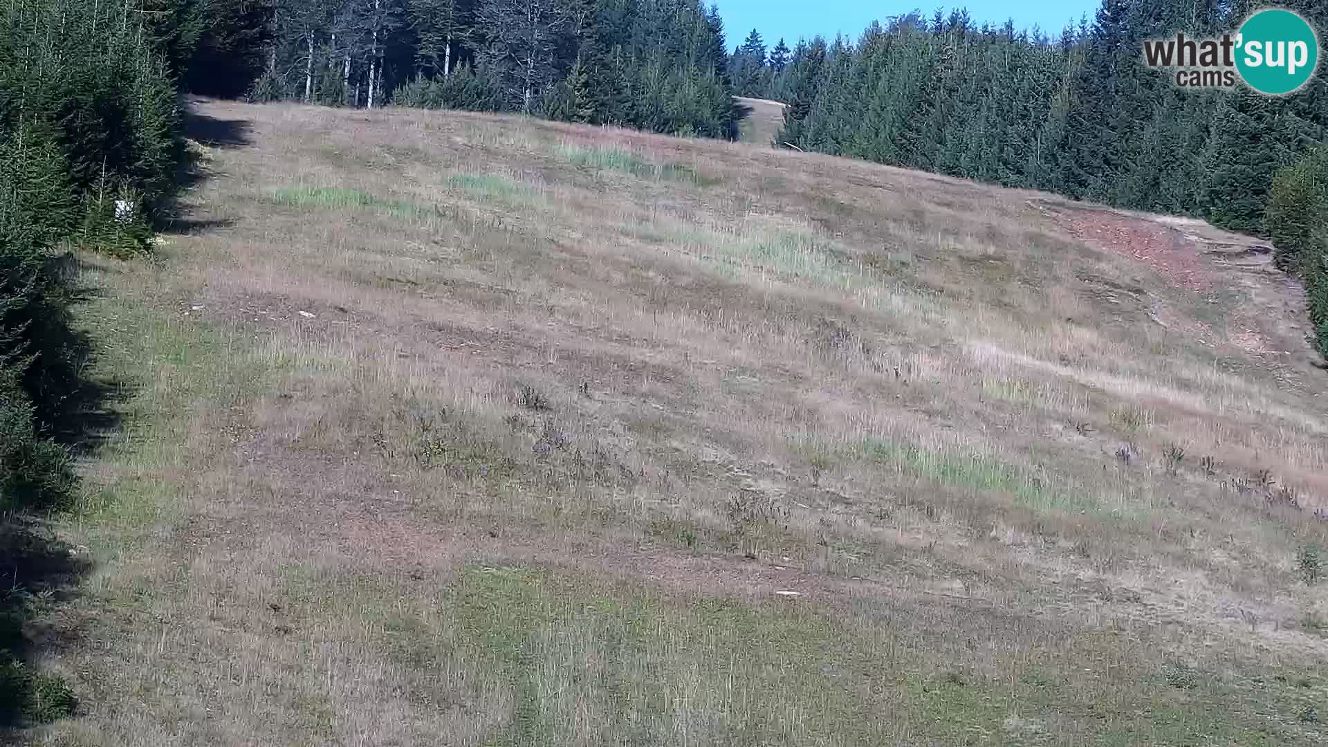 Camera en vivo Rogla appartamentos Dandi – Jurgovo