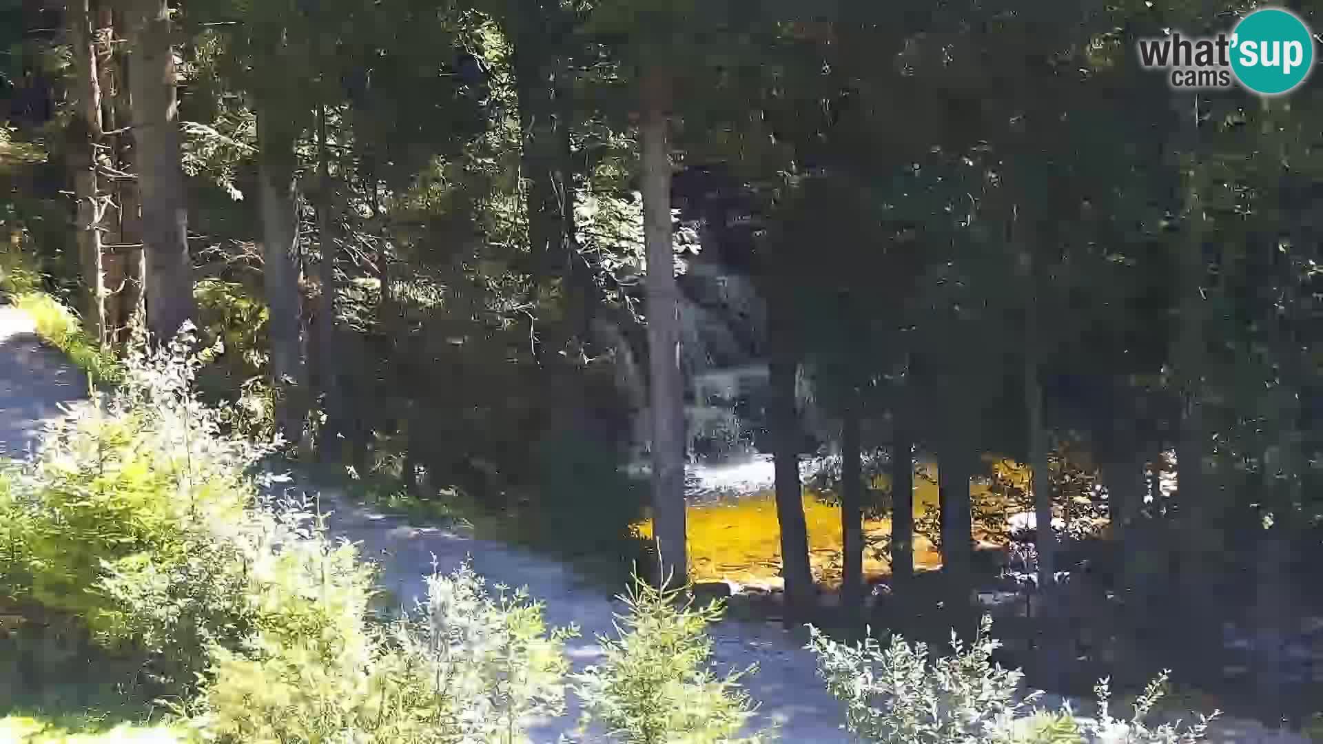 Webcam Rogla Wohnungen Dandi – Jurgovo