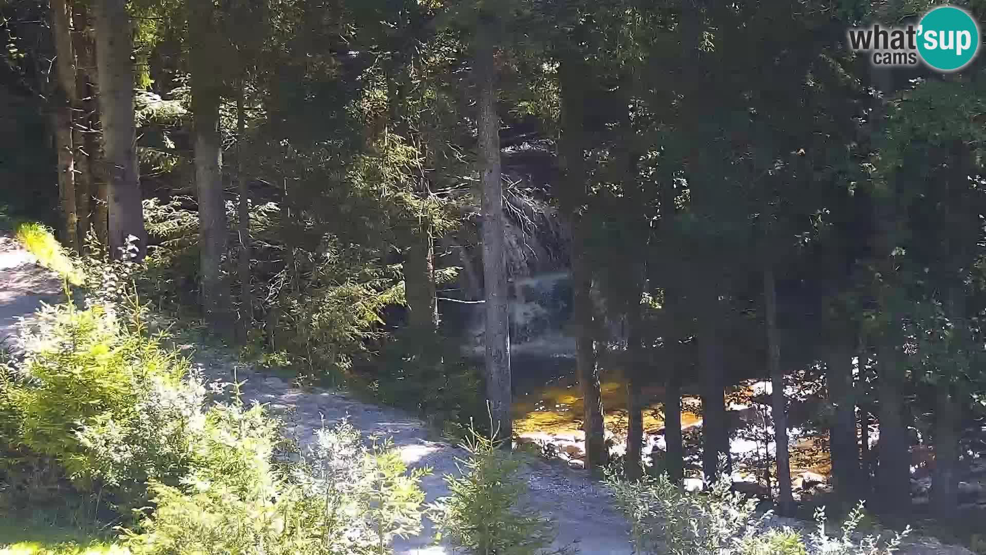 Spletna kamera Rogla apartmaji Dandi – Jurgovo