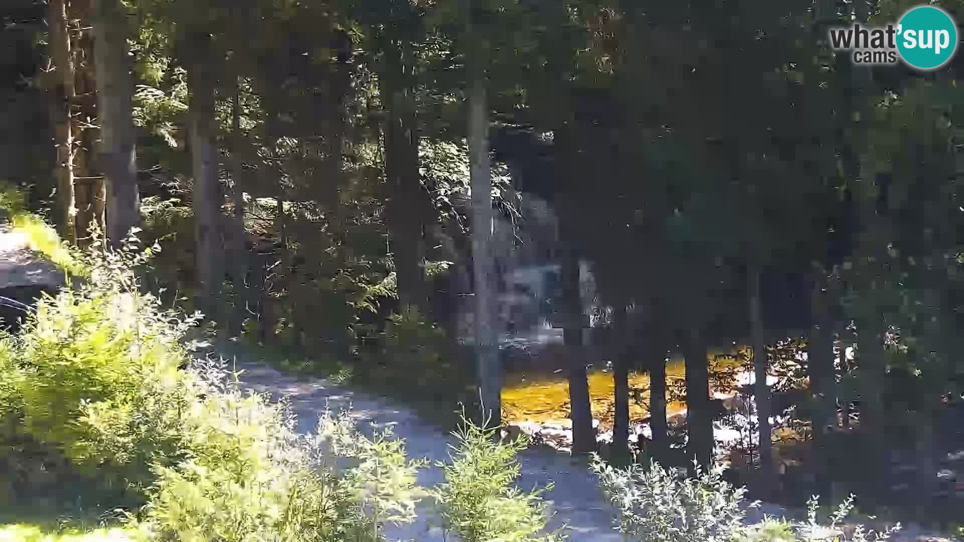 Live Rogla appartements Dandi – Jurgovo