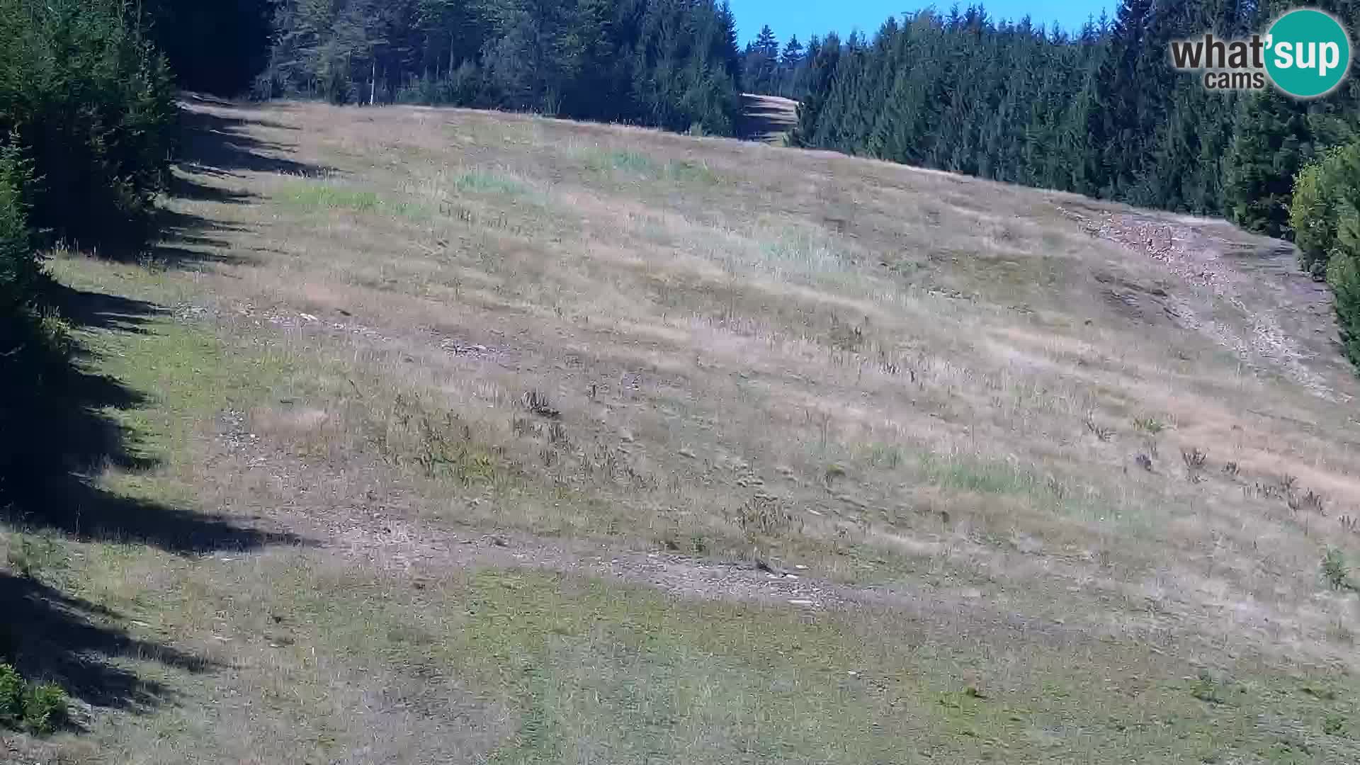 Live Rogla appartements Dandi – Jurgovo