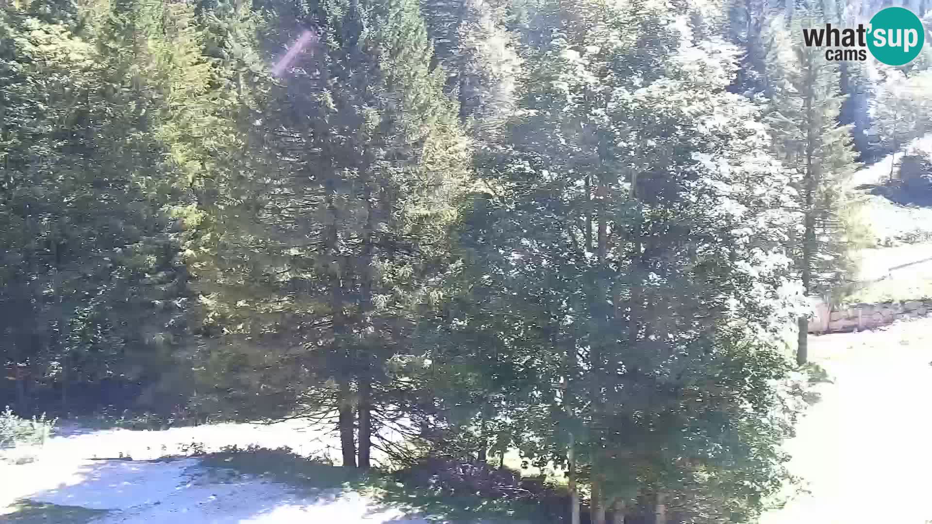 Livecam Rogla apartments Dandi – Jurgovo