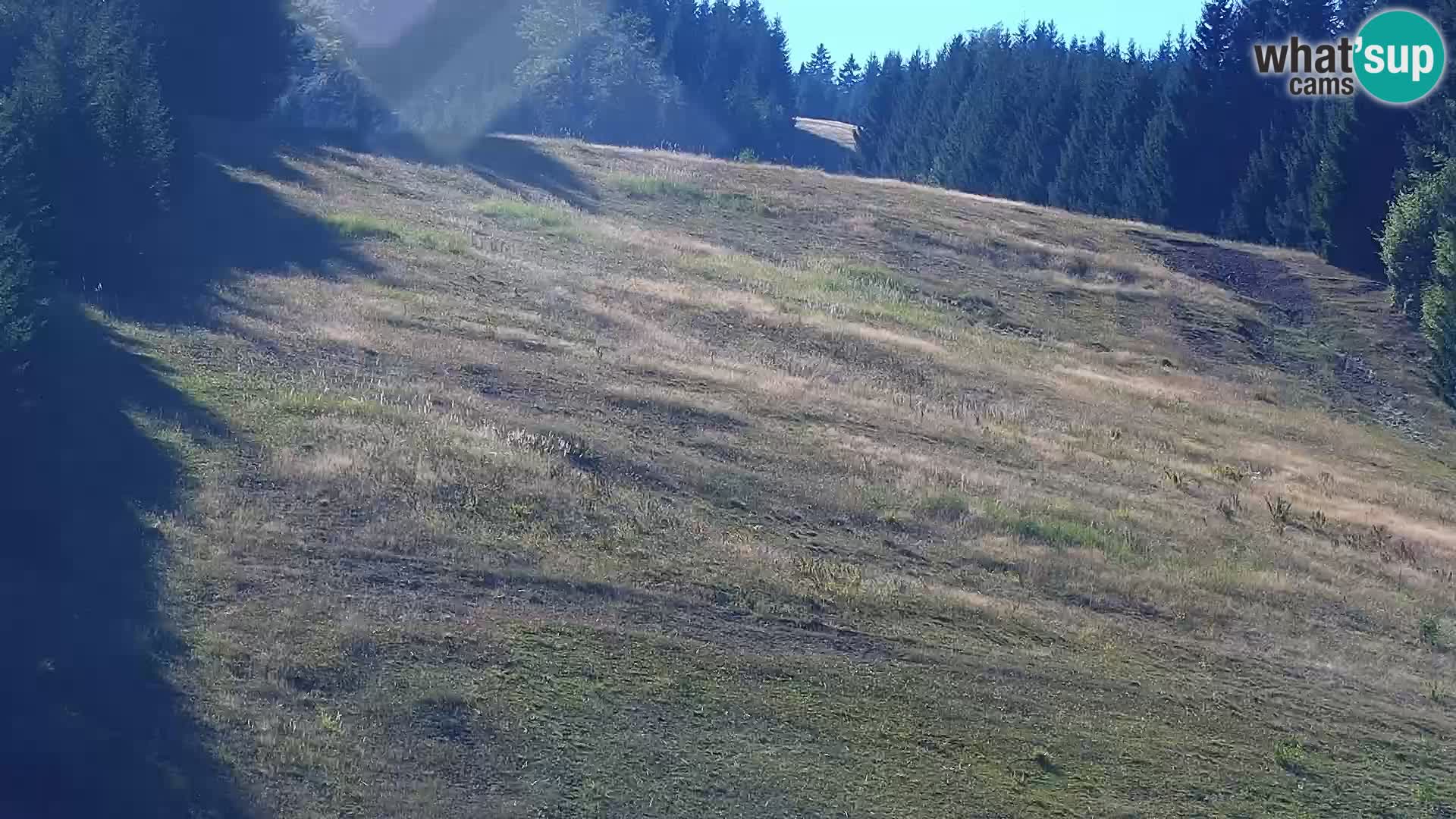 Livecam Rogla apartments Dandi – Jurgovo