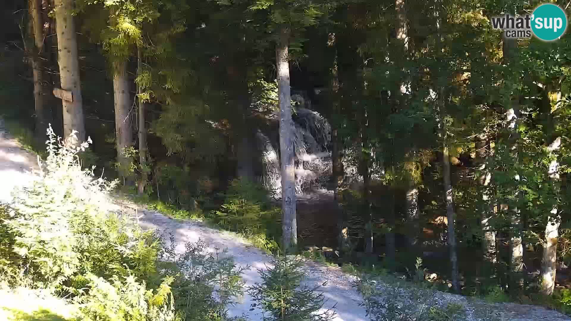 Livecam Rogla apartments Dandi – Jurgovo