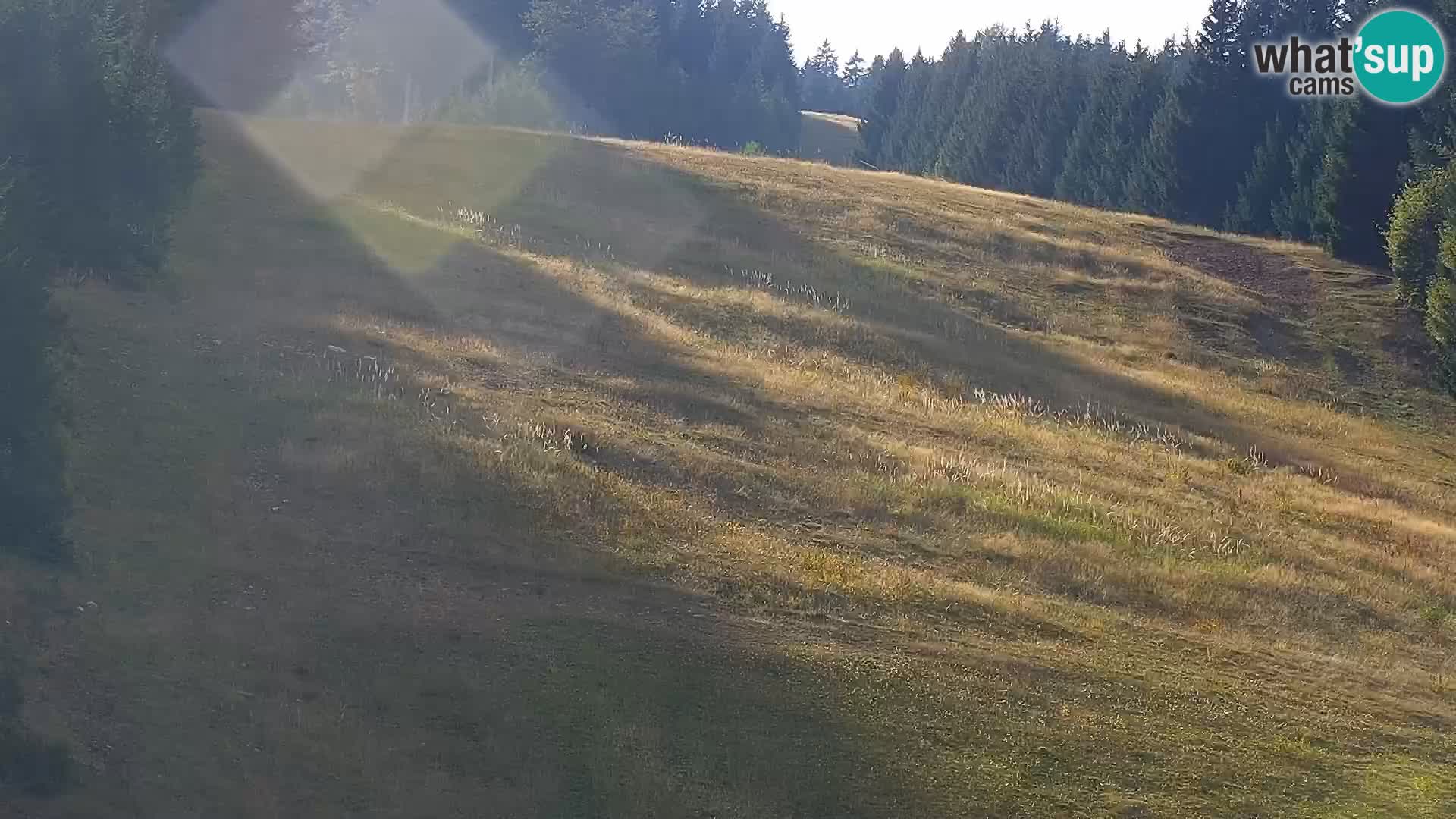 Webcam Rogla Wohnungen Dandi – Jurgovo