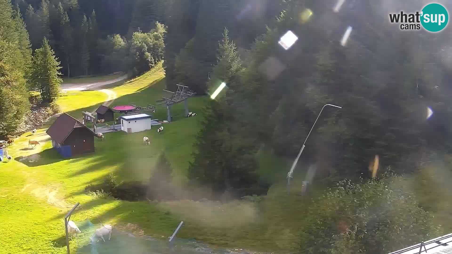 Live Rogla appartements Dandi – Jurgovo