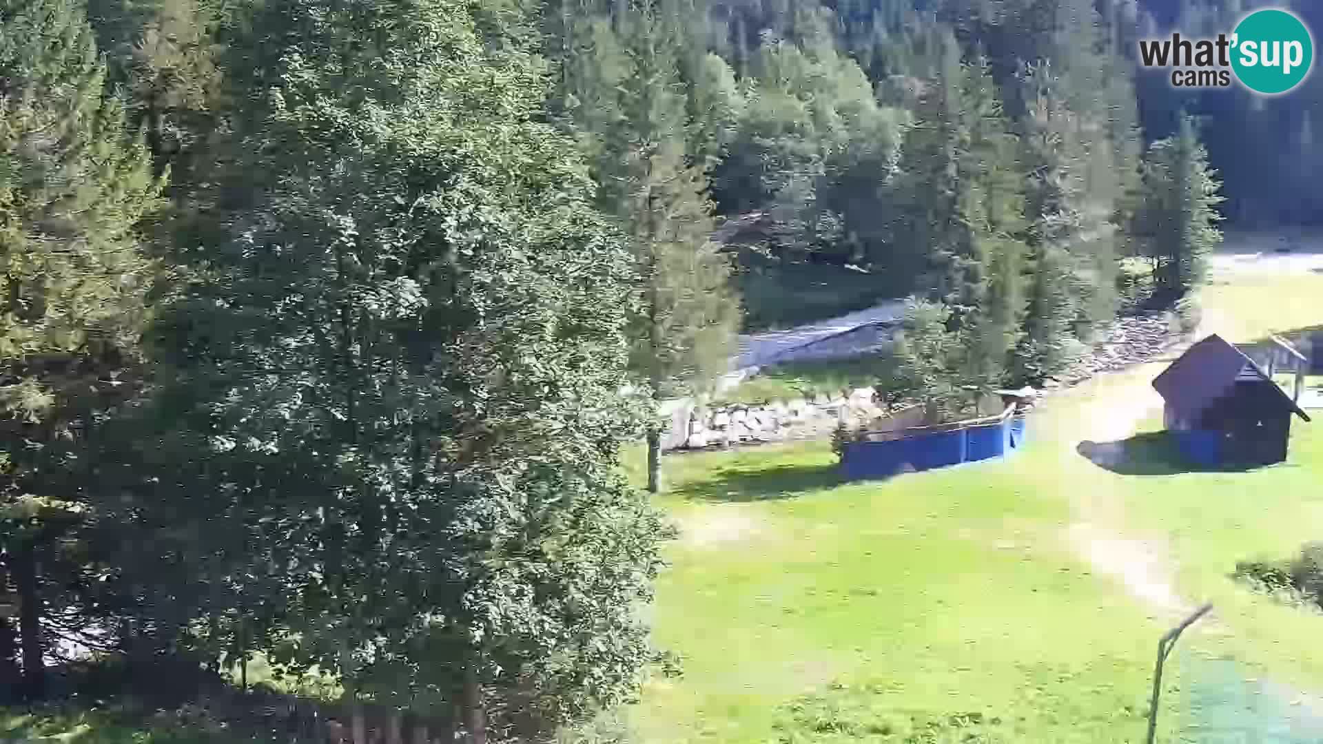Webcam Rogla Wohnungen Dandi – Jurgovo