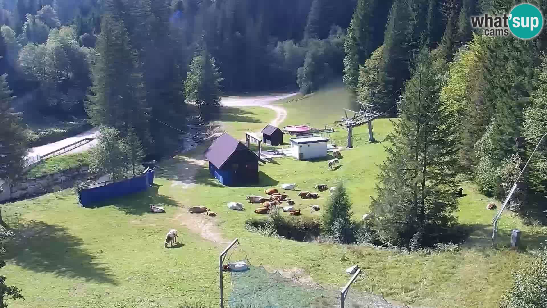 Livecam Rogla apartments Dandi – Jurgovo