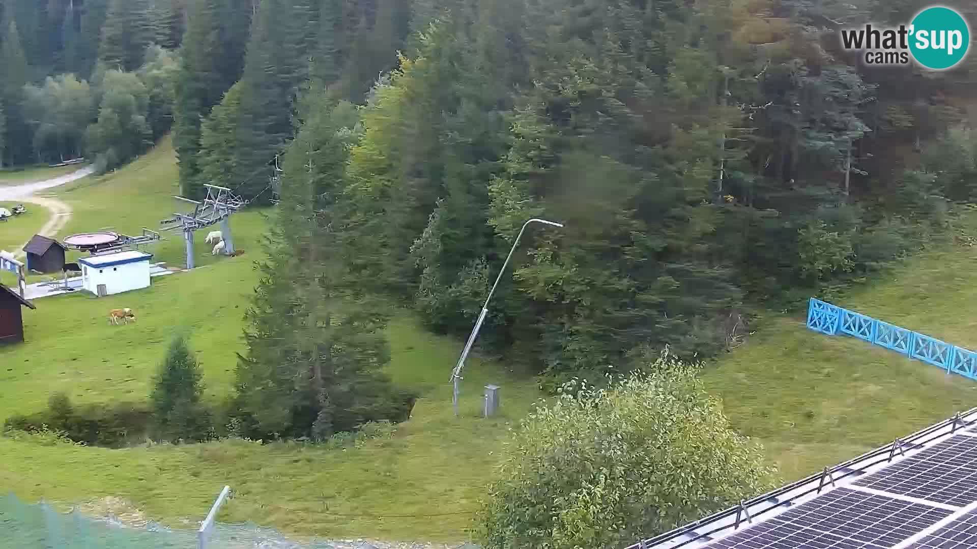 Spletna kamera Rogla apartmaji Dandi – Jurgovo