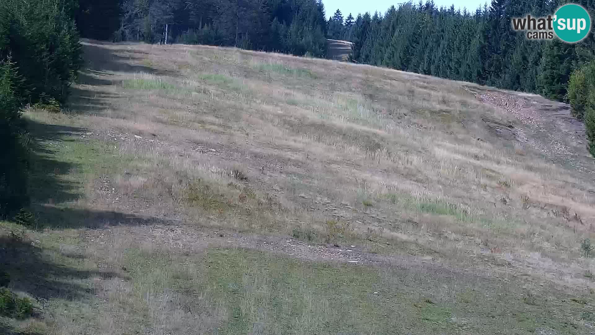 Live Rogla appartements Dandi – Jurgovo