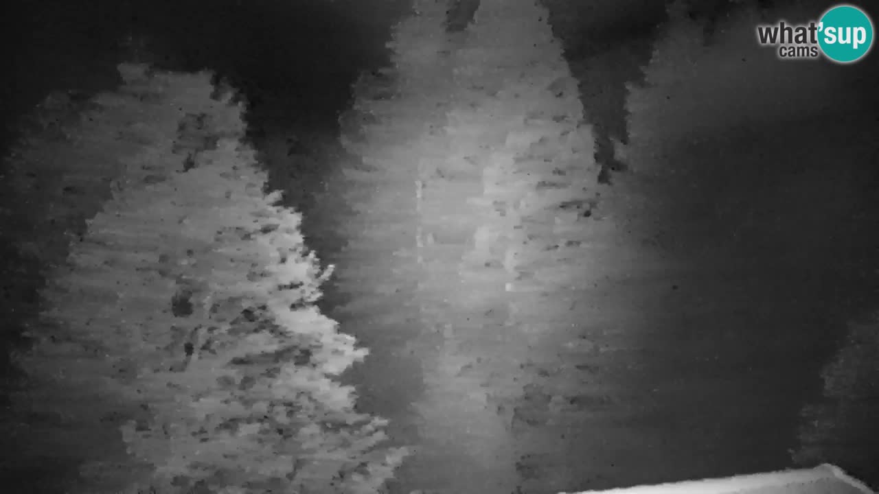 Webcam Lukanja – Pohorje houses a Water village