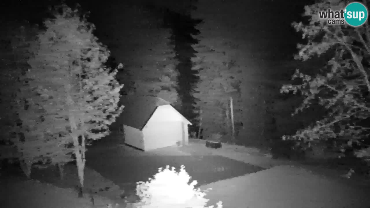 Webcam Lukanja – Pohorje houses a Water village