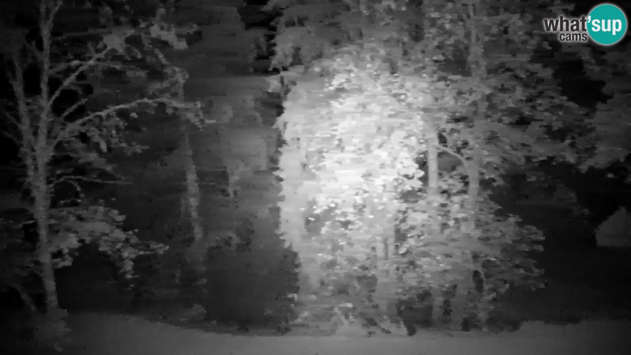 Webcam Lukanja – Pohorje houses a Water village