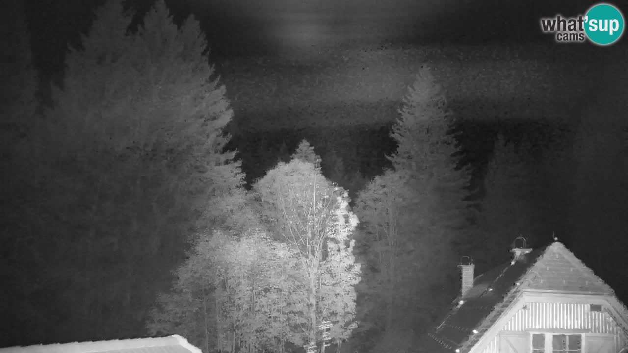 Webcam Lukanja – Pohorje houses a Water village