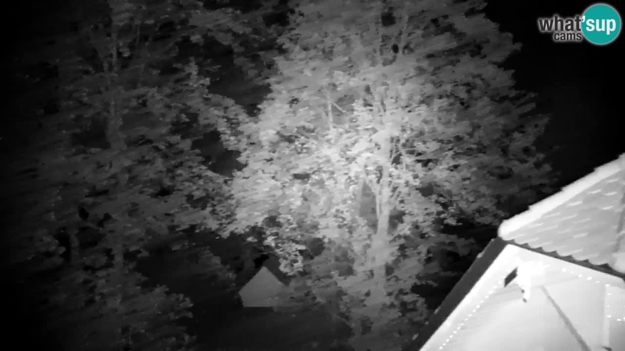 Webcam Lukanja – Pohorje houses a Water village