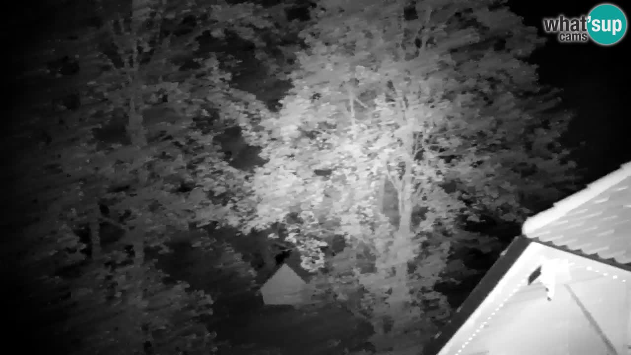 Webcam Lukanja – Pohorje houses a Water village