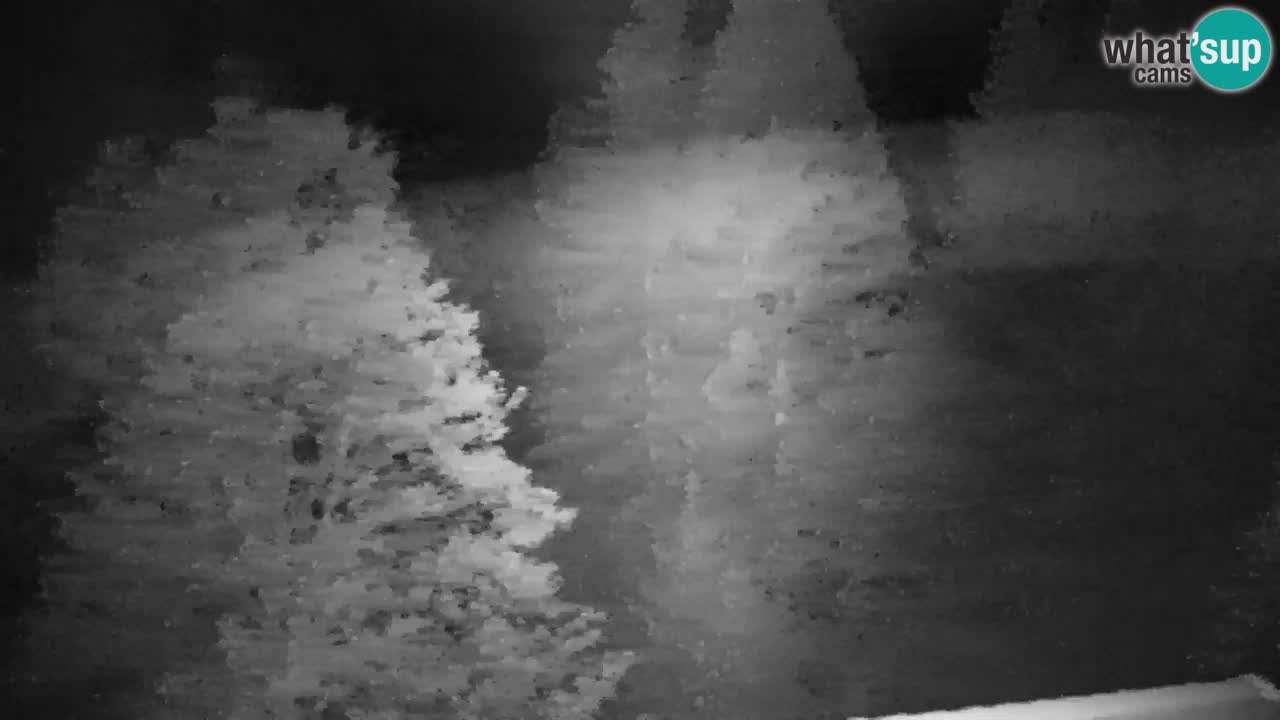 Webcam Lukanja – Water Village | Pohorje Houses