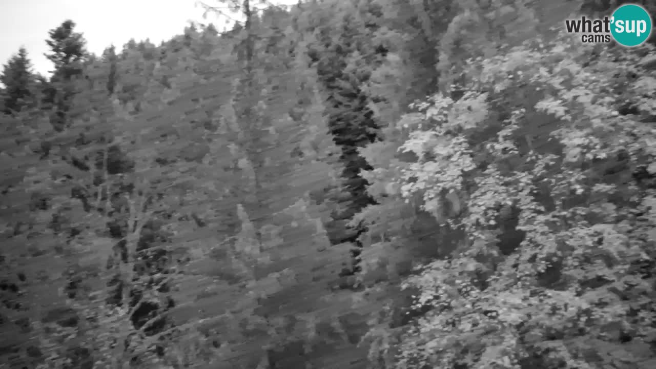 Webcam Lukanja – Pohorje houses a Water village