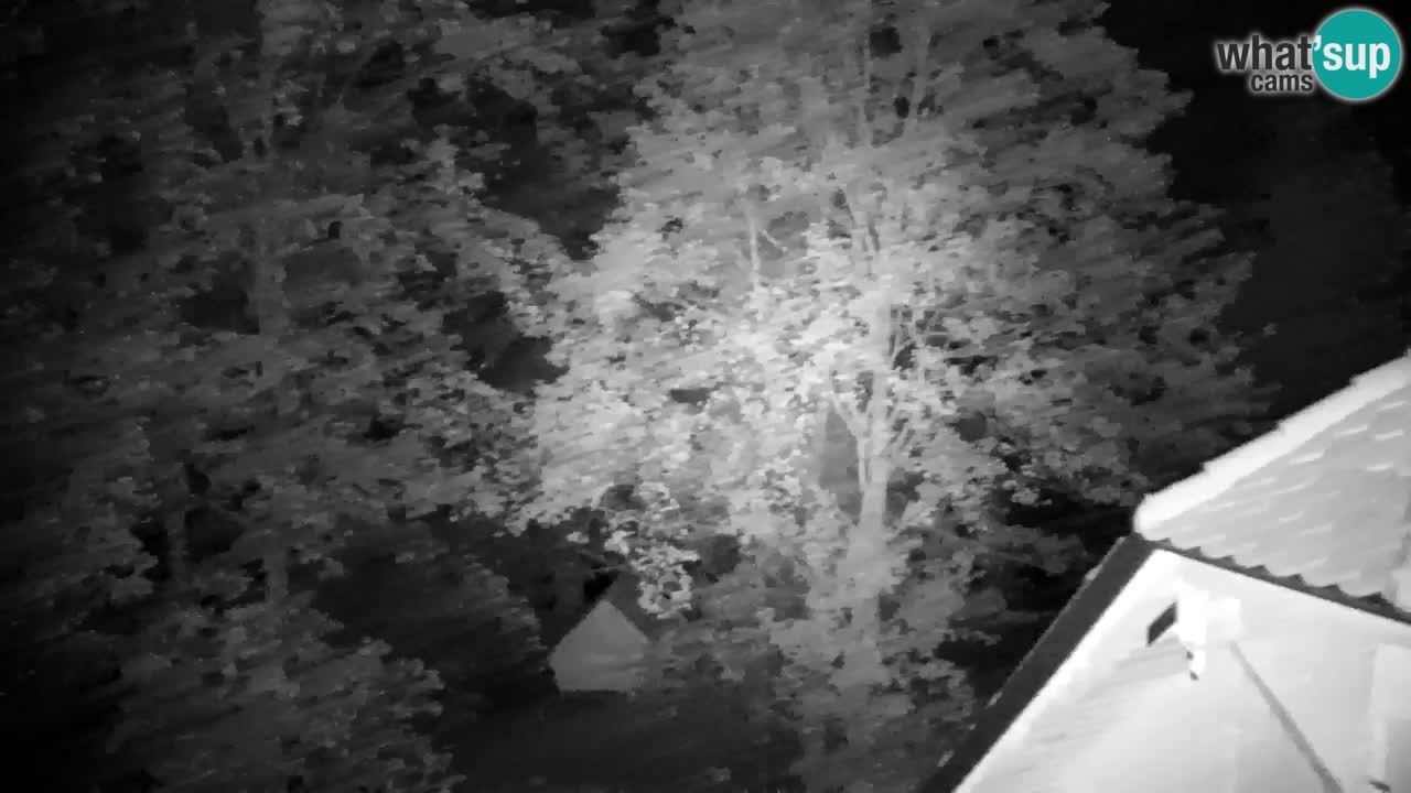 Webcam Lukanja – Pohorje houses a Water village