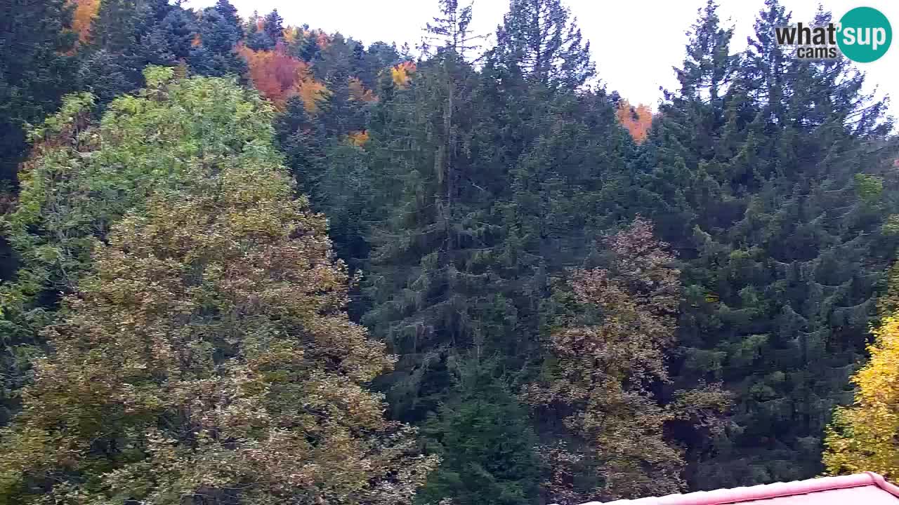 Webcam Lukanja – Water Village | Pohorje Houses