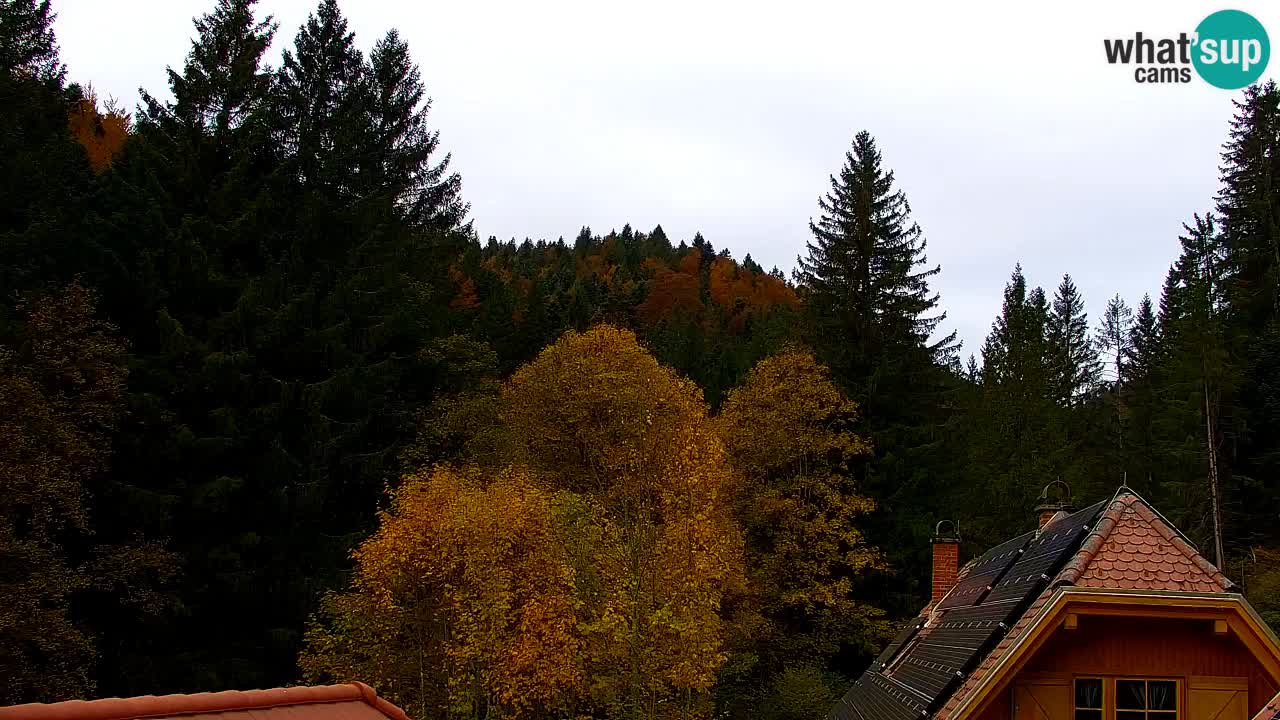 Webcam Lukanja – Pohorje houses a Water village