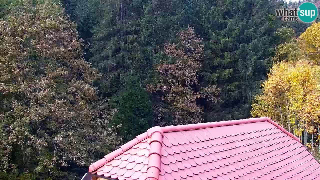 Webcam Lukanja – Pohorje houses a Water village