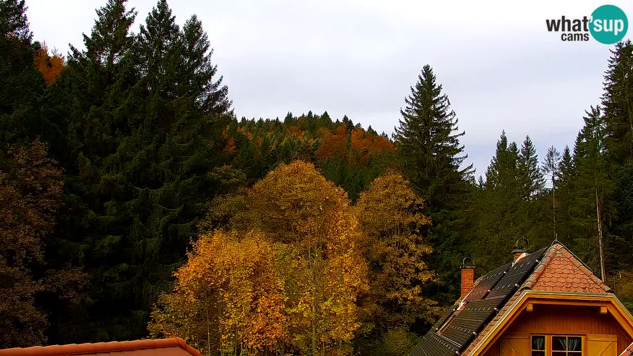 Webcam Lukanja – Water Village | Pohorje Houses