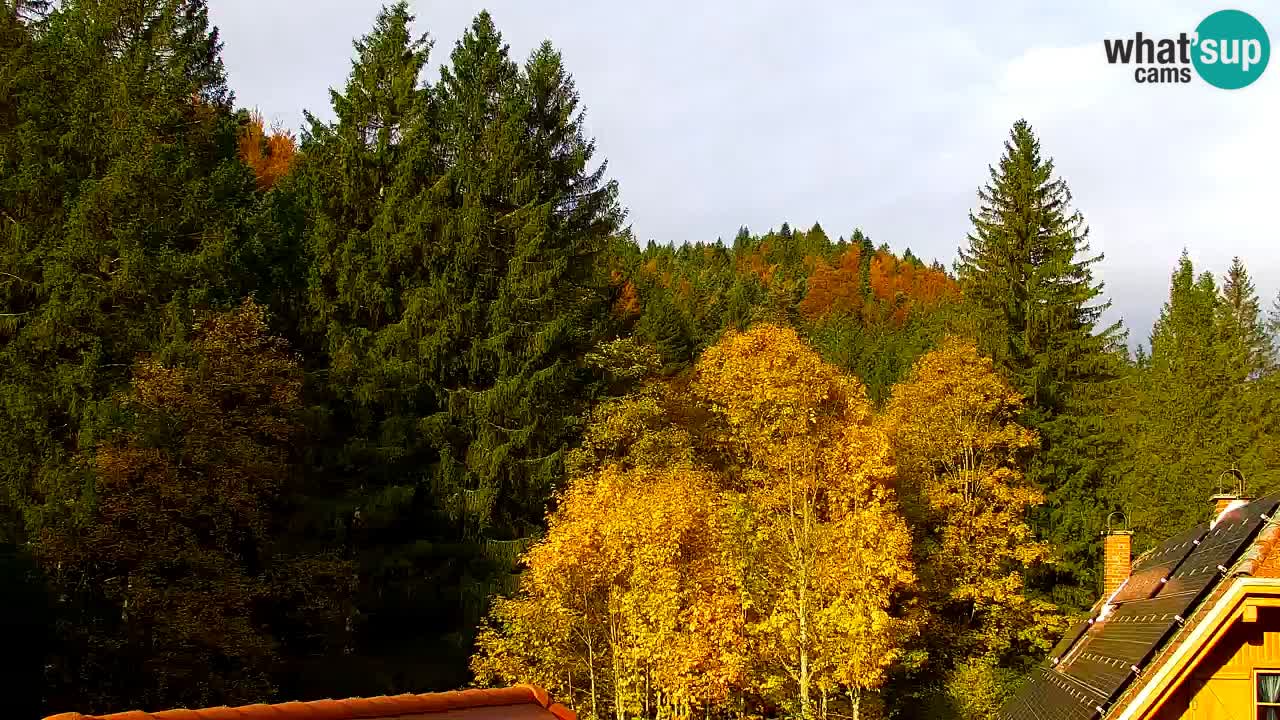 Webcam Lukanja – Water Village | Pohorje Houses