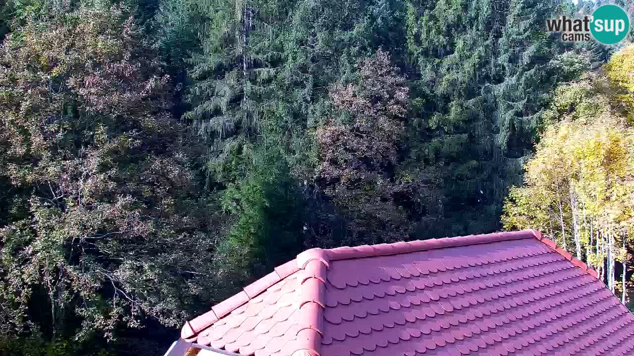 Spletna kamera Lukanja – Water Village | Pohorje Houses