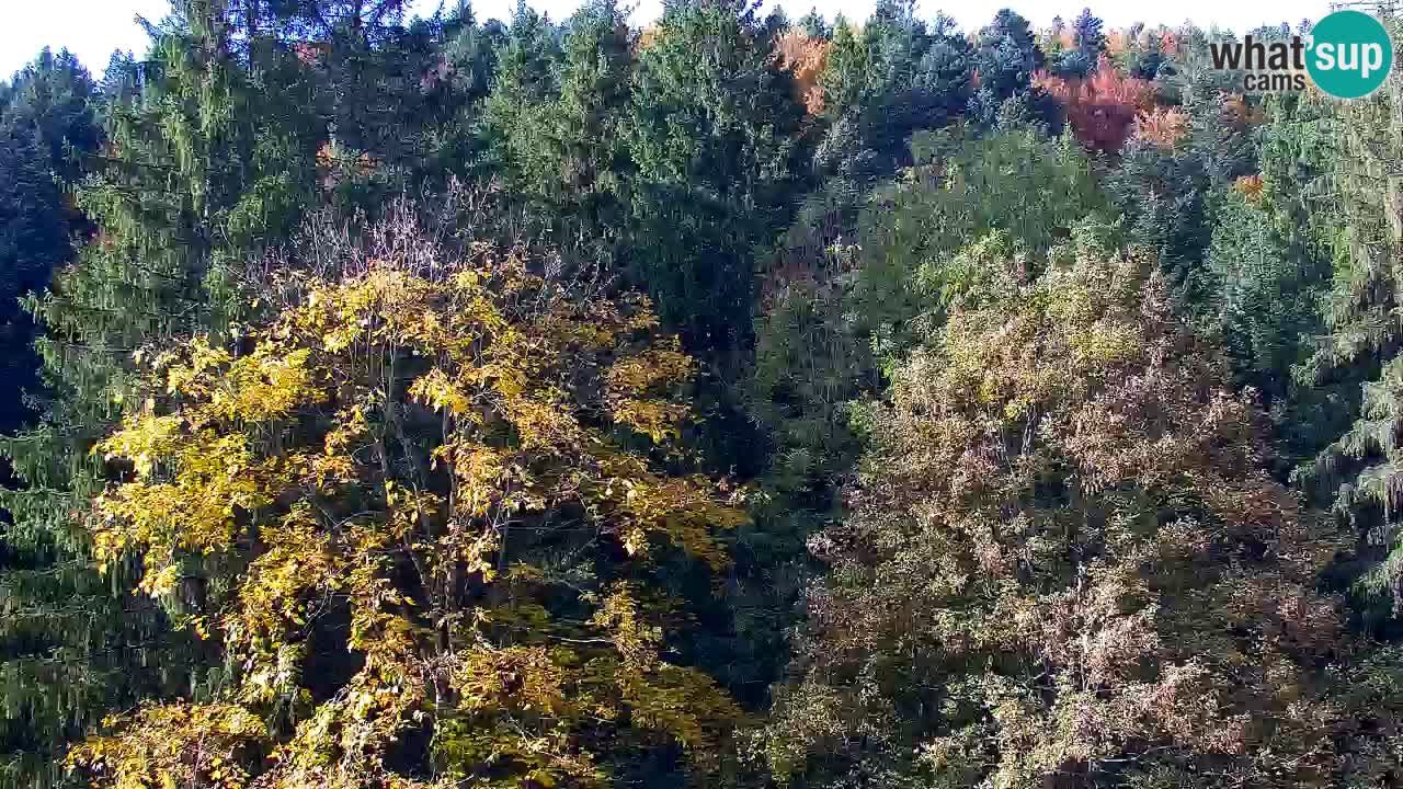 Webcam Lukanja – Water Village | Pohorje Houses