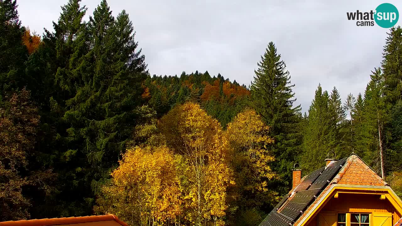 Webcam Lukanja – Water Village | Pohorje Houses