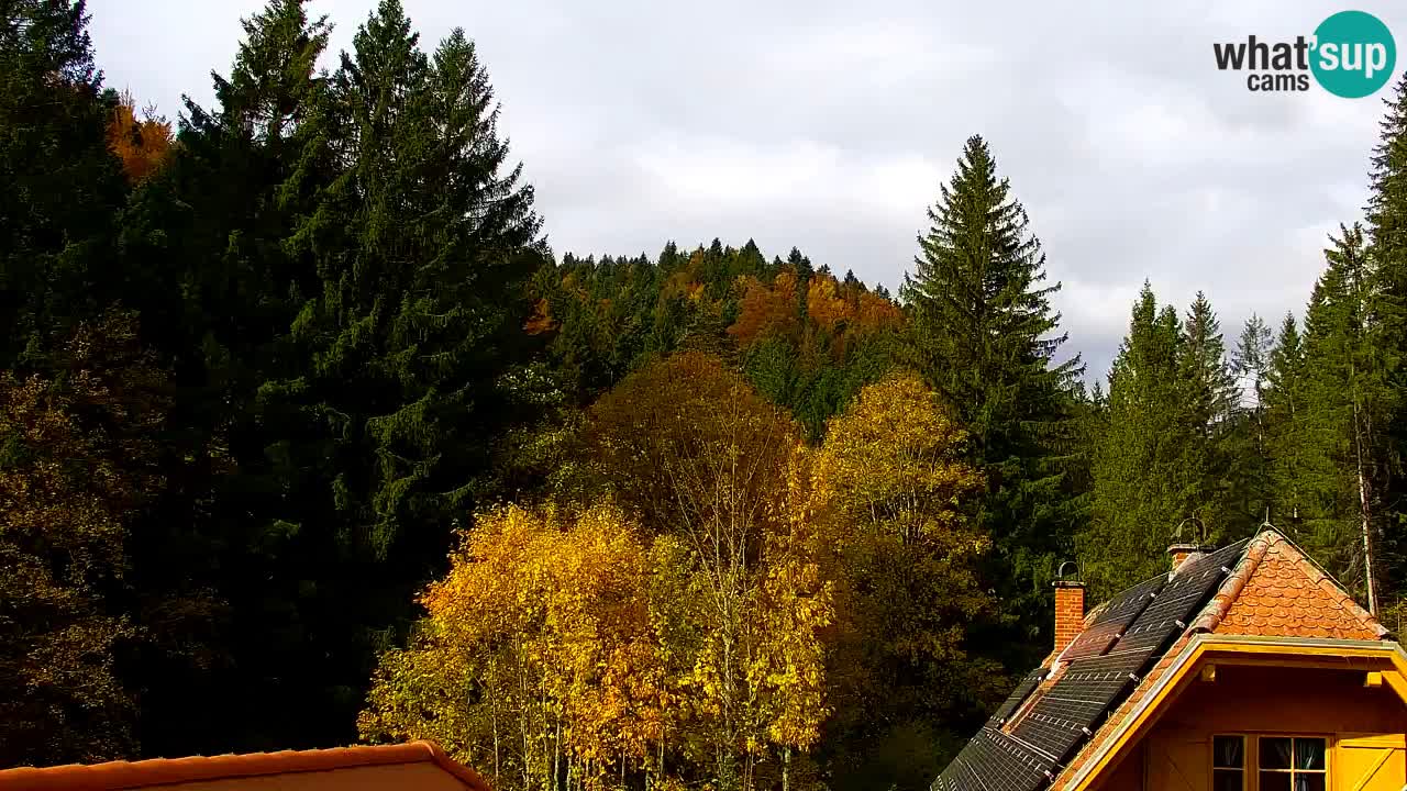 Webcam Lukanja – Water Village | Pohorje Houses