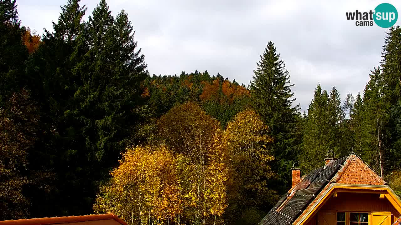 Webcam Lukanja – Pohorje houses a Water village