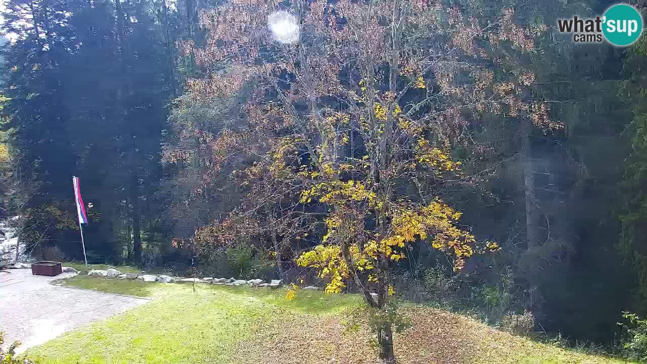 Webcam Lukanja – Pohorje houses a Water village
