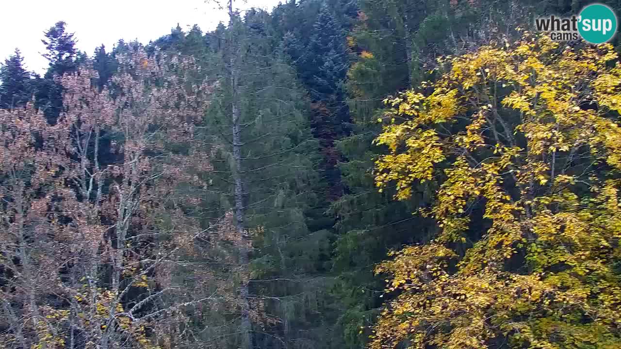 Webcam Lukanja – Pohorje houses a Water village