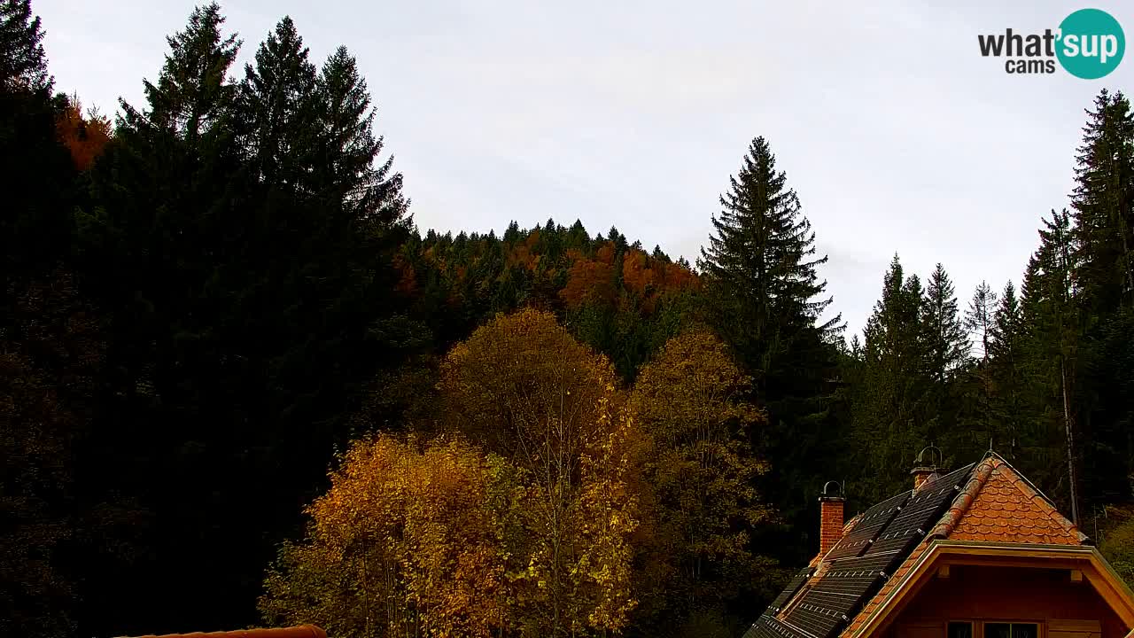 Web kamera Lukanja – Water Village | Pohorje Houses