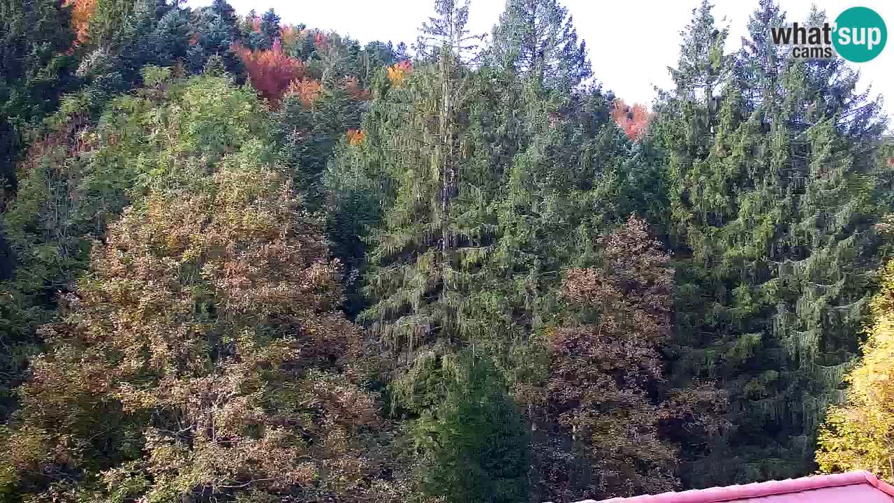 Webcam Lukanja – Pohorje houses a Water village