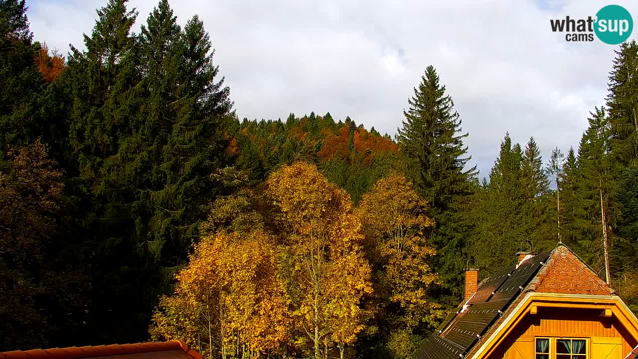 Webcam Lukanja – Water Village | Pohorje Houses