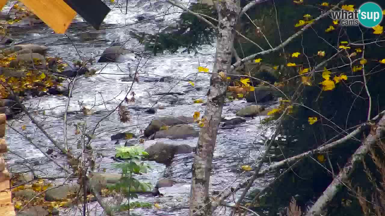 Webcam Lukanja – Water Village | Pohorje Houses