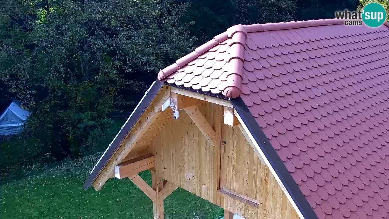 Spletna kamera Lukanja – Water Village | Pohorje Houses