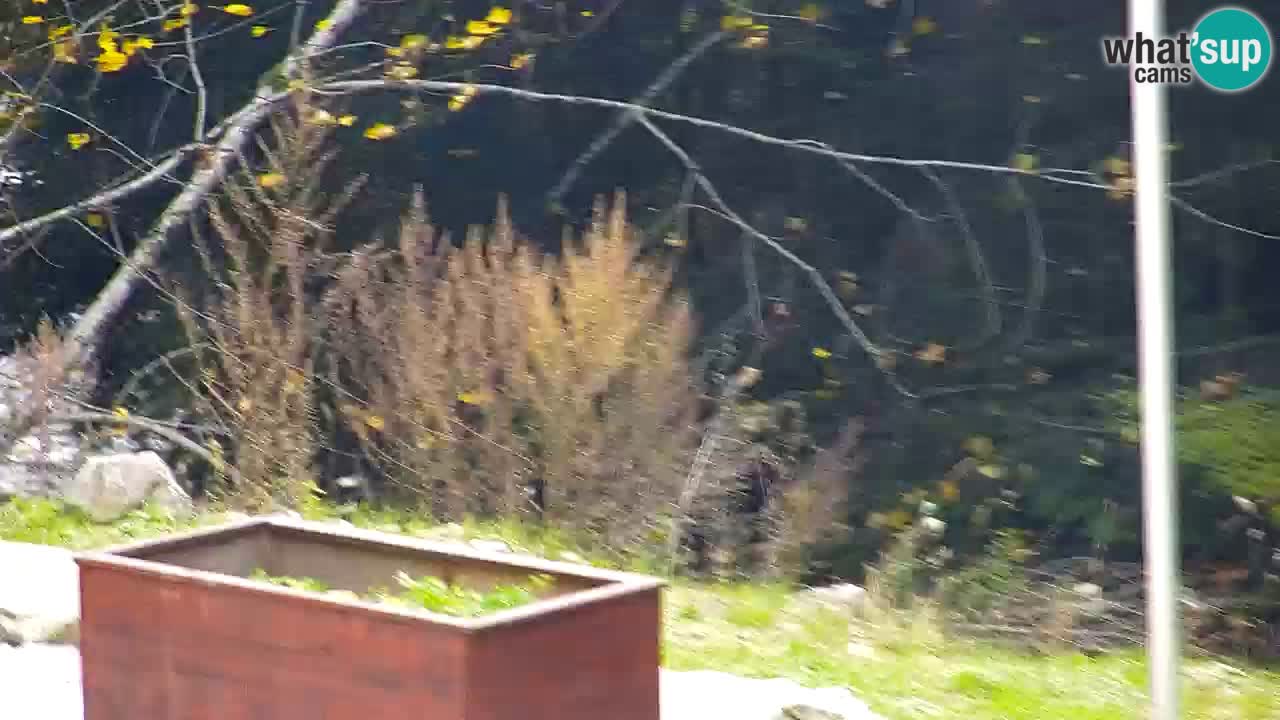 Webcam Lukanja – Water Village | Pohorje Houses