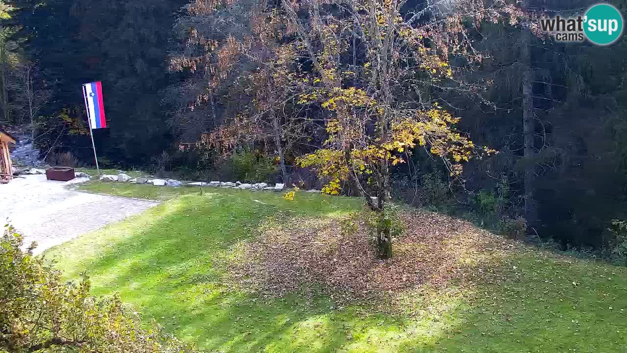 Webcam Lukanja – Water Village | Pohorje Houses