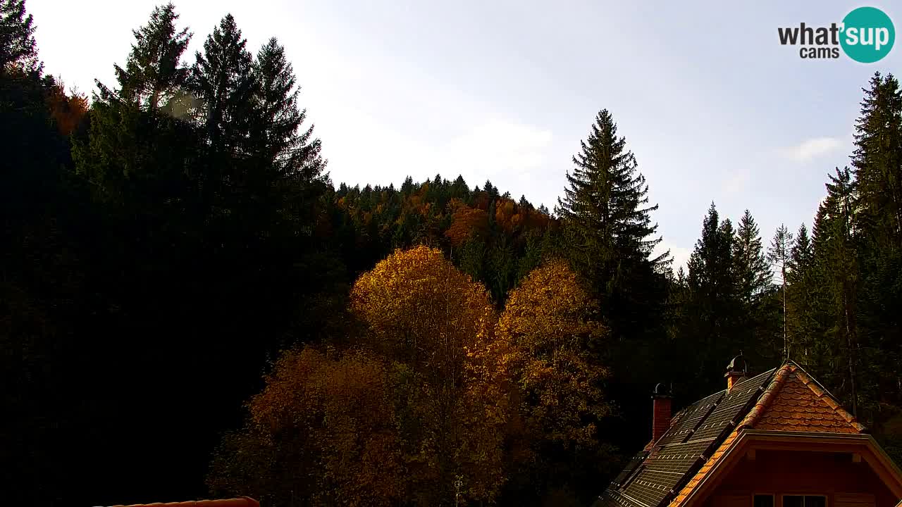 Webcam Lukanja – Pohorje houses a Water village