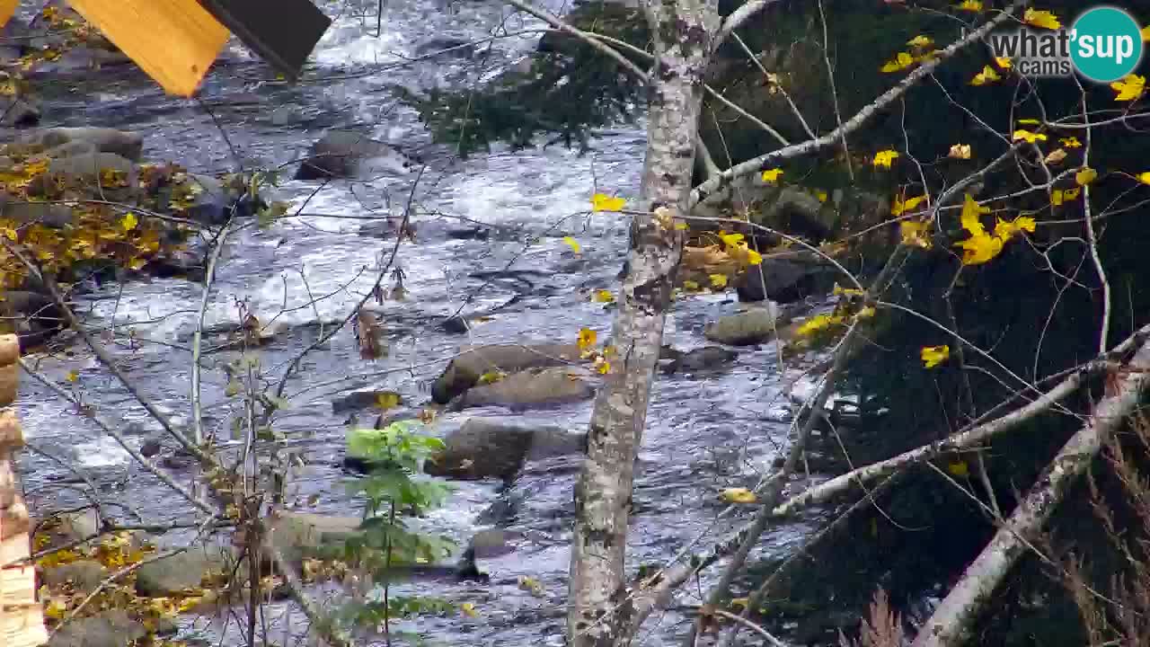 Webcam Lukanja – Water Village | Pohorje Houses