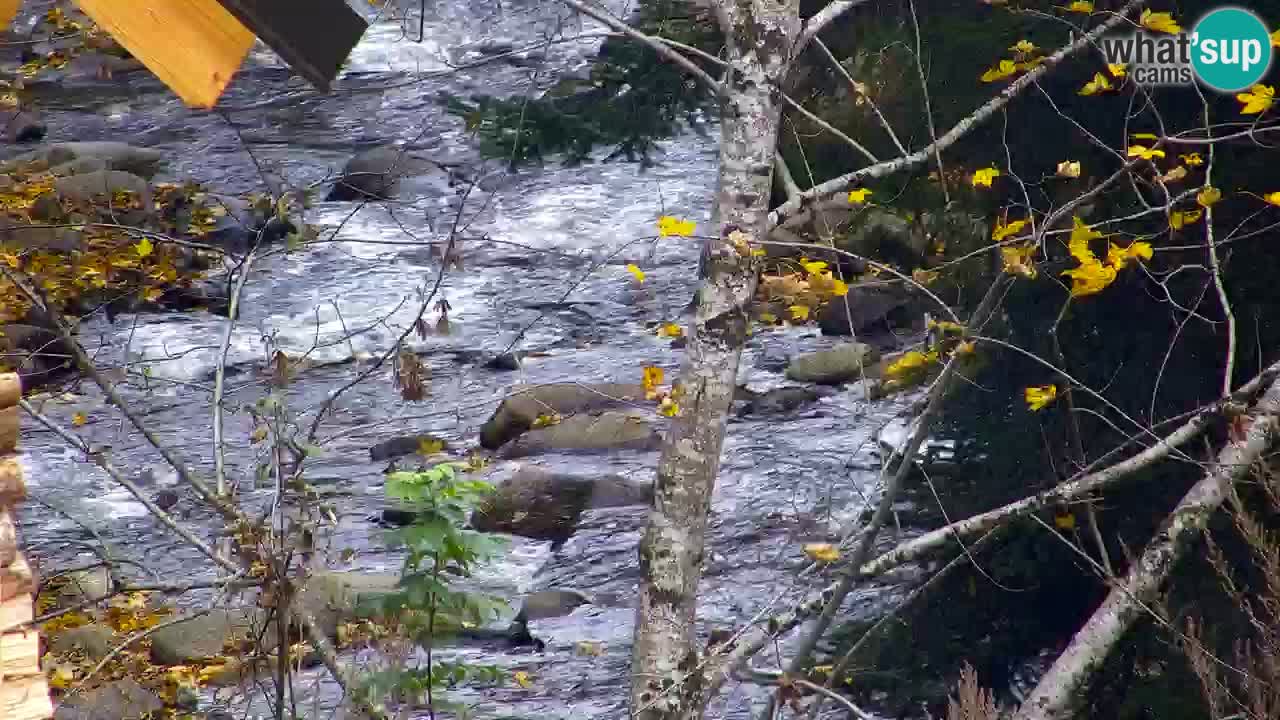 Webcam Lukanja – Water Village | Pohorje Houses