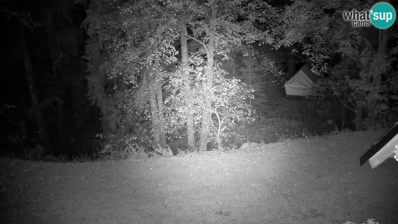Webcam Lukanja – Pohorje houses a Water village