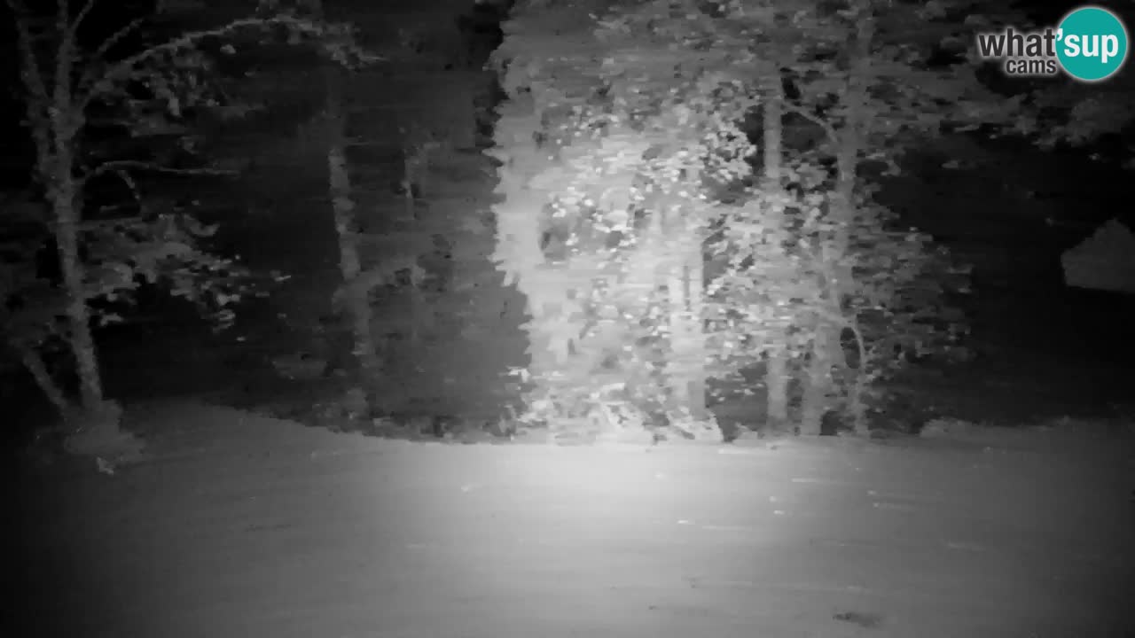 Webcam Lukanja – Pohorje houses a Water village
